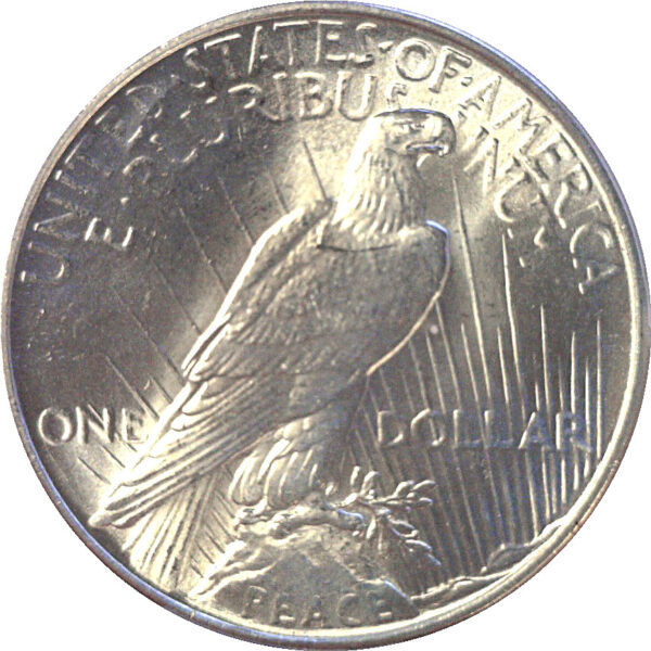 1934 Peace Dollar  -  PCGS MS-65+ - Image 3