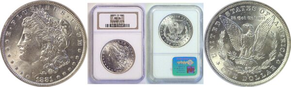 1881-O Morgan Dollar  -  NGC MS-64