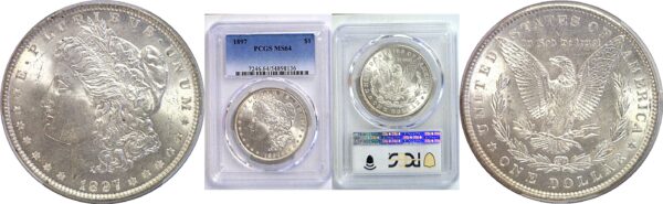 1897 Morgan Dollar. -  PCGS MS-64