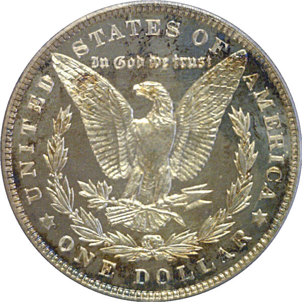 1900 Morgan Dollar  -  PCGS PR-64 CAM - Image 3