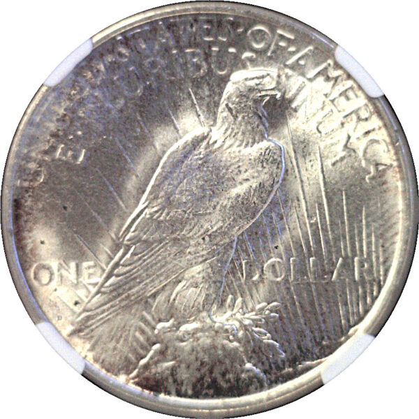 1923-D Peace Dollar  -  NGC MS-65 - Image 3