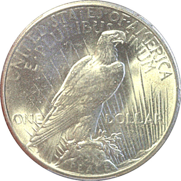 1927 Peace Dollar  -  PCGS MS-65 - Image 3