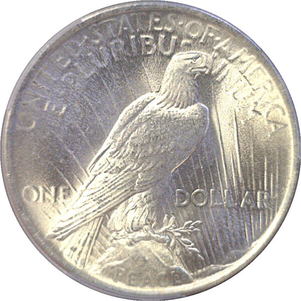 1924 Peace Dollar  -  PCGS MS-66 - Image 3