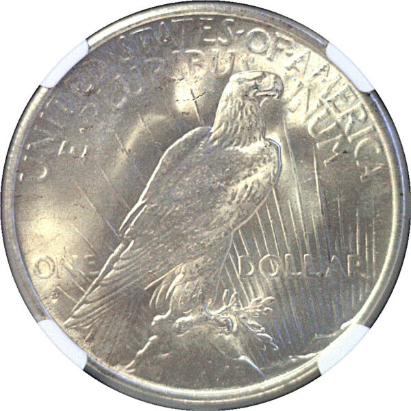 1935-S Peace Dollar  -  NGC MS-64+  CAC. - Image 3
