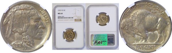 1919-D Buffalo Nickel. -  NGC MS-64