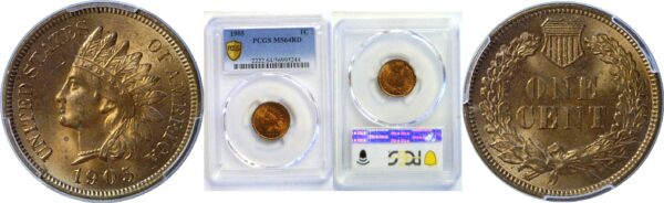 1905 Indian Head Cent  -  PCGS MS-64 RD