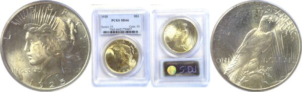 1925 Peace Dollar  -  PCGS MS-66