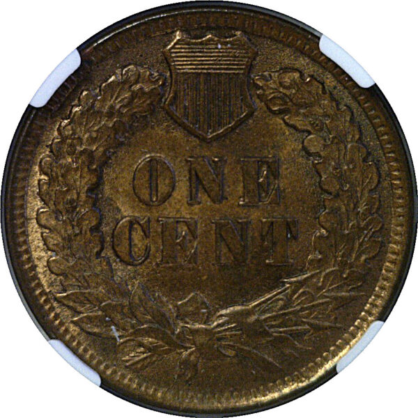 1901 Indian Head Cent. -  NGC MS-64 RB - Image 3