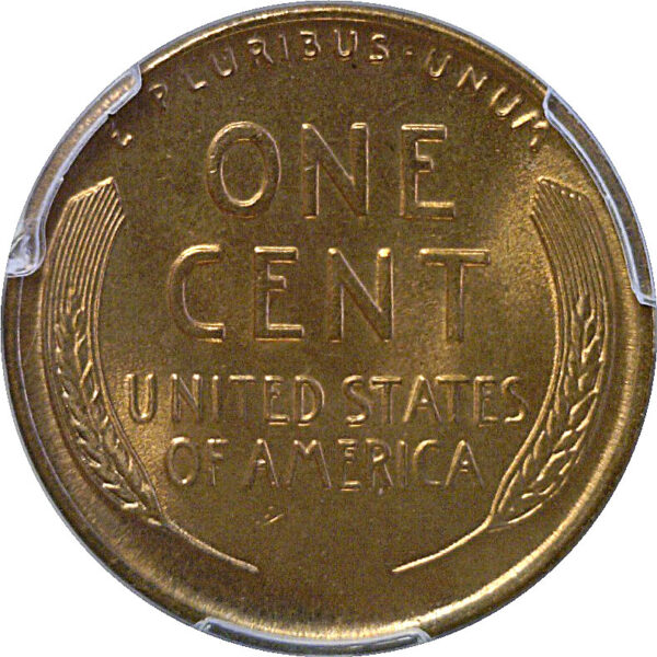 1934 Lincoln Cent  -  PCGS MS-67 RD - Image 3