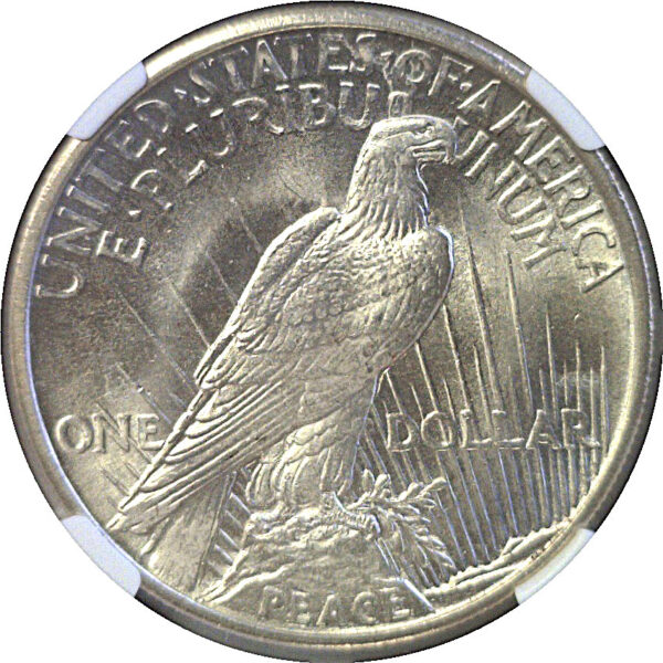 1921 Peace Dollar. -  NGC MS-64+.  CAC - Image 3
