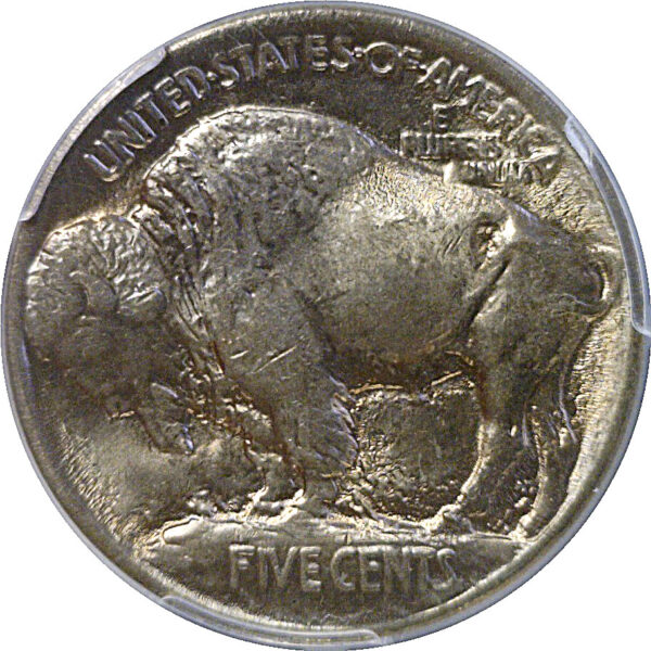 1913 T-1 Buffalo Nickel  -  PCGS MS-65 - Image 3