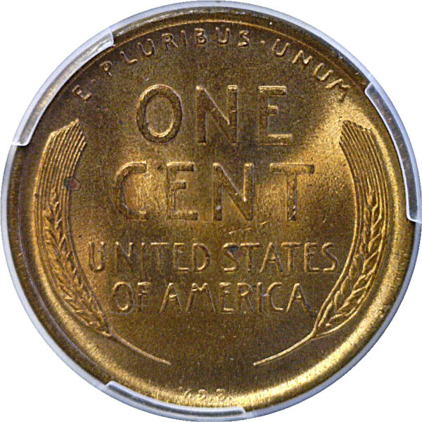 1909-VDB Doubled Die Obverse.  Lincoln Cent  -  PCGS MS-64 RD - Image 3