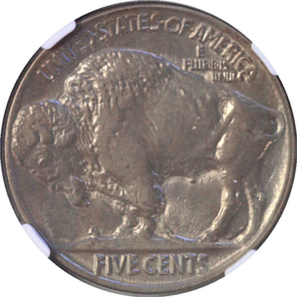 1924 Buffalo Nickel  -  NGC MS-64 - Image 3
