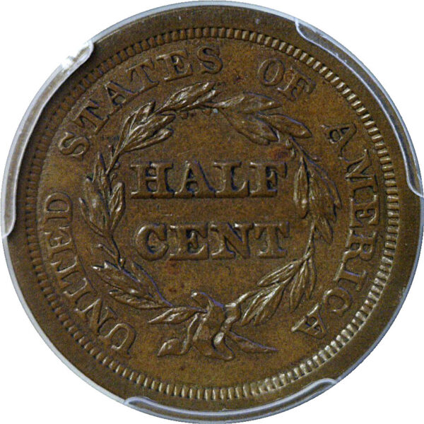 1850 Half Cent  -  PCGS MS-63 BN - Image 3