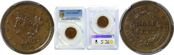 1850 Half Cent  -  PCGS MS-63 BN