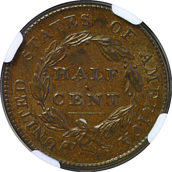 1828 Half Cent  -  NGC MS-61 BN - Image 3