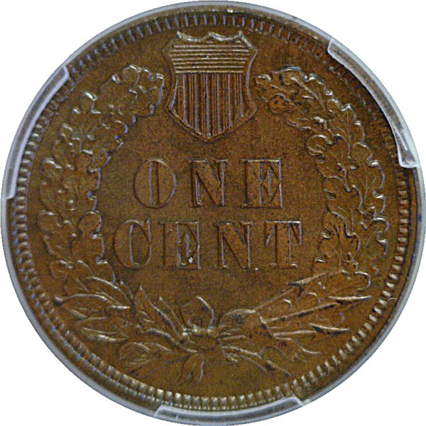 1889 Indian Head Cent  -  PCGS PR-66 BN - Image 3