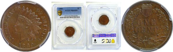 1889 Indian Head Cent  -  PCGS PR-66 BN