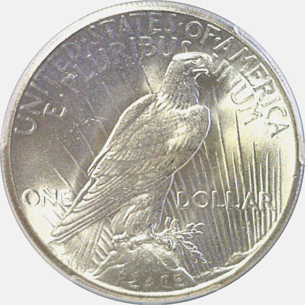1927 Peace Dollar  -  PCGS MS-64 - Image 3
