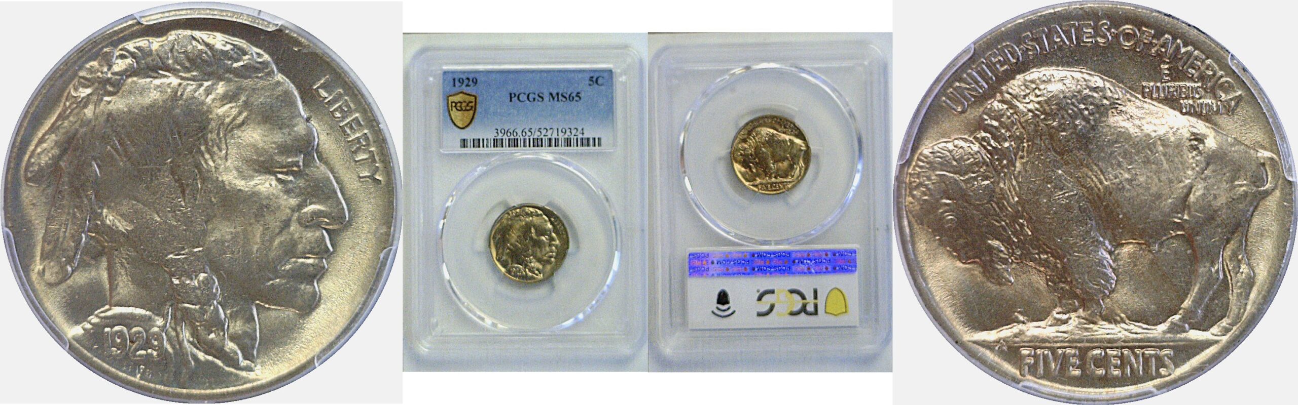 1929 Buffalo Nickel PCGS MS-65