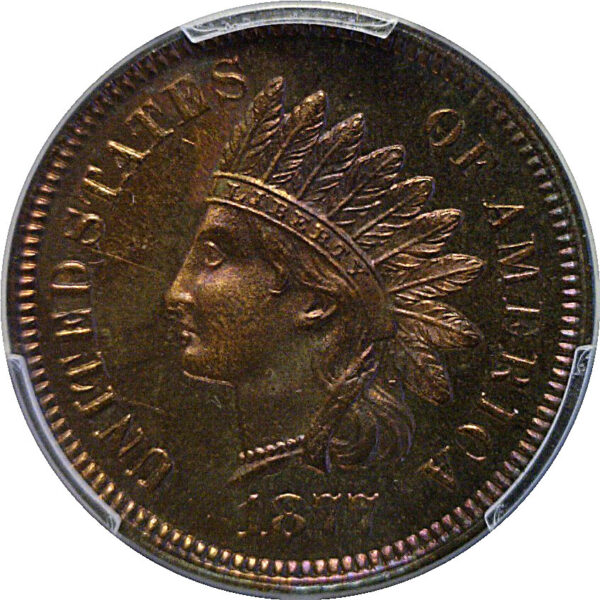 1877 Indian Head Cent  -  PCGS PR-65 RB - Image 2