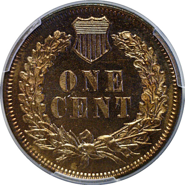 1877 Indian Head Cent  -  PCGS PR-65 RB - Image 3