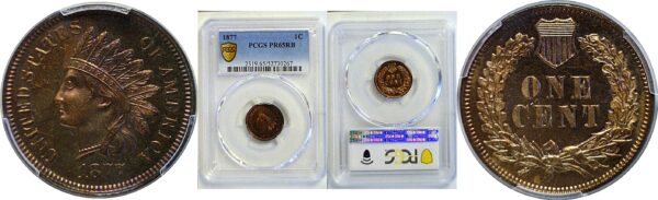 1877 Indian Head Cent  -  PCGS PR-65 RB