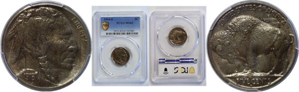 1916-S Buffalo Nickel. -  PCGS MS-65