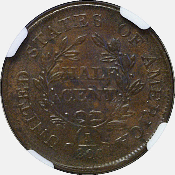 1805 Half Cent  -  NGC AU-58 - Image 3