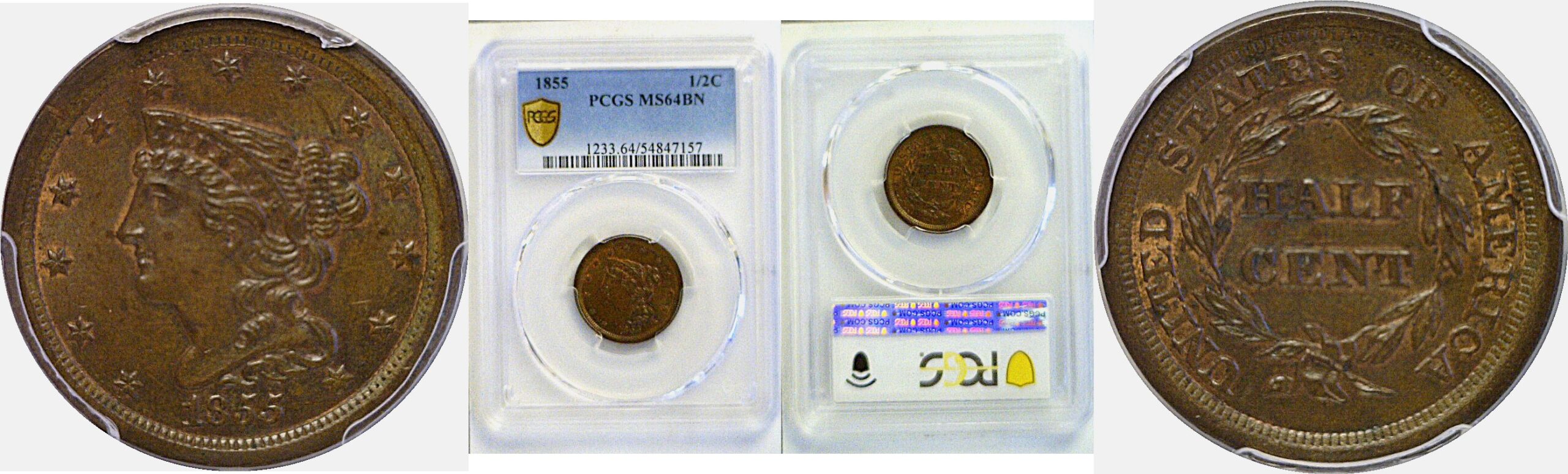 1855 Half Cent  -  PCGS MS-64 BN