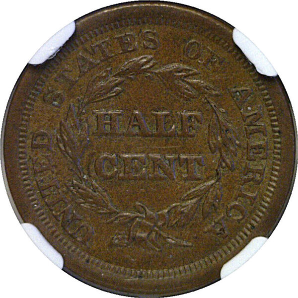 1851 Half Cent  -  NGC MS-61 BN - Image 3