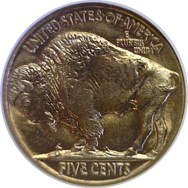 1915 Buffalo Nickel  -  NGC MS-65 - Image 3