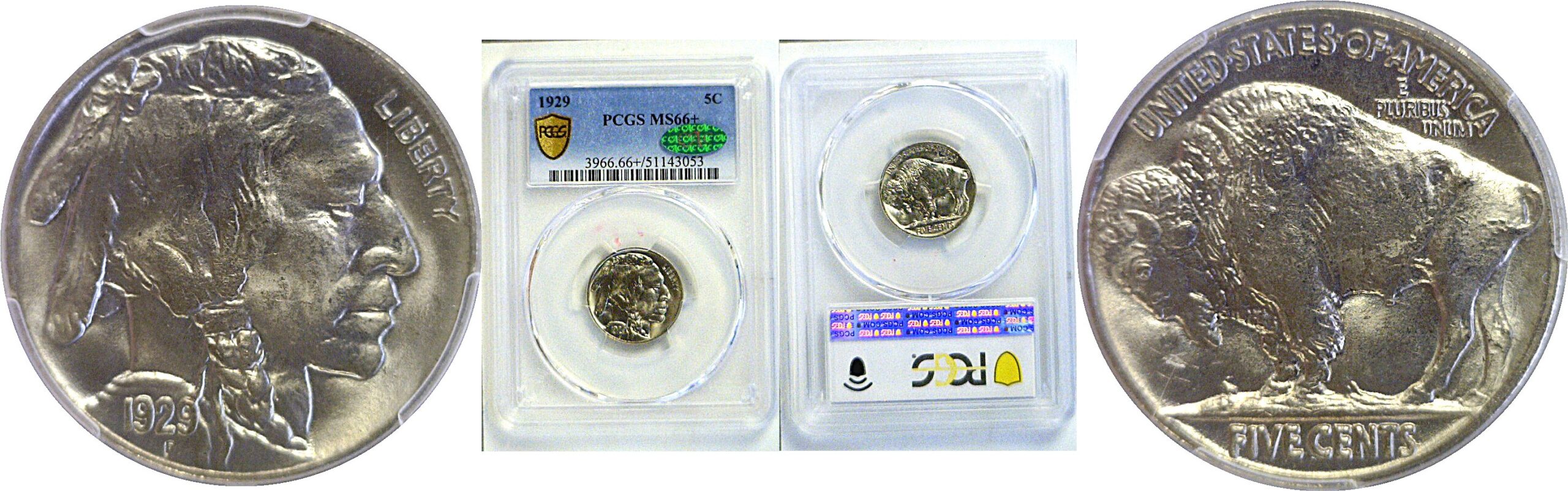 1929 Buffalo Nickel.  -  PCGS MS-66+.  CAC