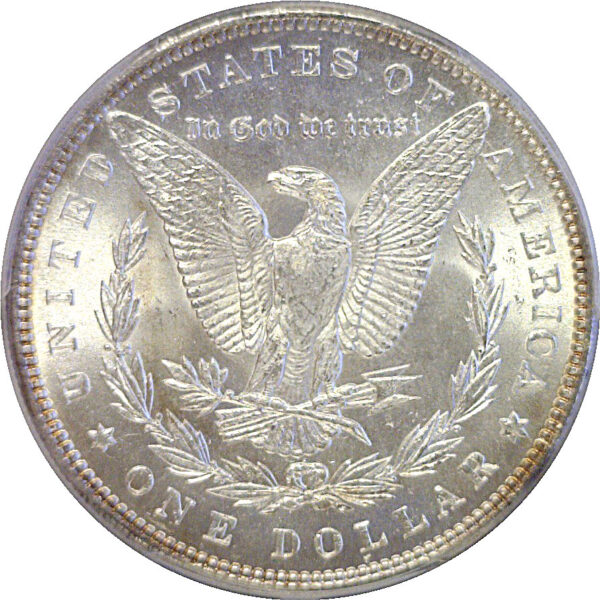 1884 Morgan Dollar   PCGS MS-66+   CAC - Image 3