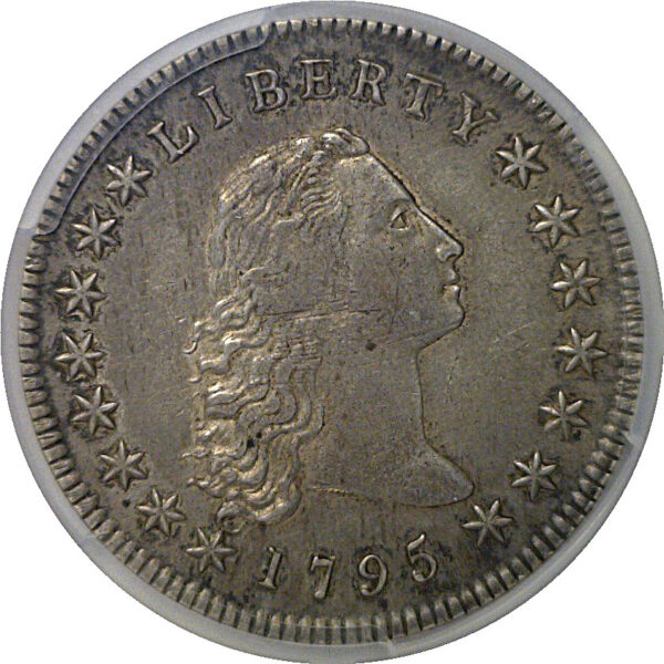 1795 Flowing Hair Dollar   PCGS XF-45+ - Image 2