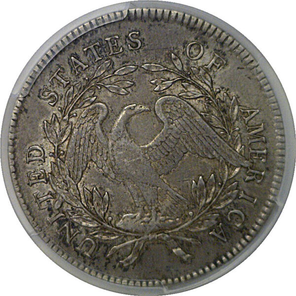 1795 Flowing Hair Dollar   PCGS XF-45+ - Image 3