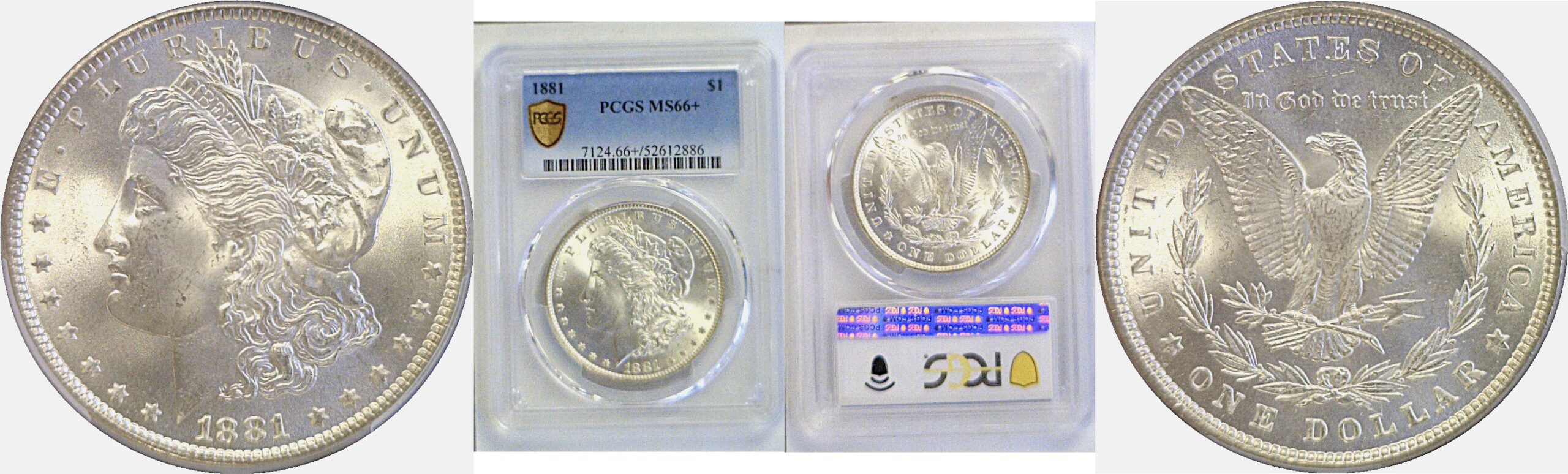 1881 Morgan Dollar  -  PCGS MS-66+