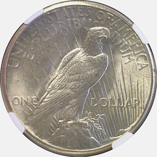 1927 Peace Dollar  -  NGC MS-62 - Image 3