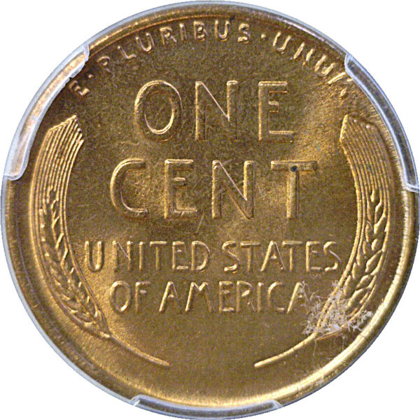 1934 Lincoln Cent  -  PCGS MS-67 RD  CAC - Image 3