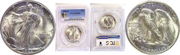1946-D Walking Liberty Half Dollar. -  PCGS MS-66