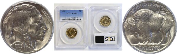 1925 Buffalo Nickel   PCGS MS-66+