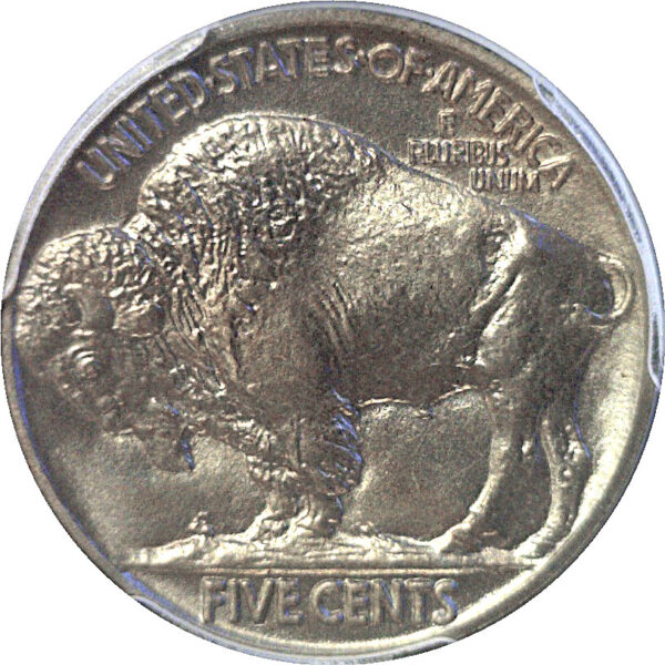 1914 Buffalo Nickel  -  PCGS PR-67  CAC - Image 3