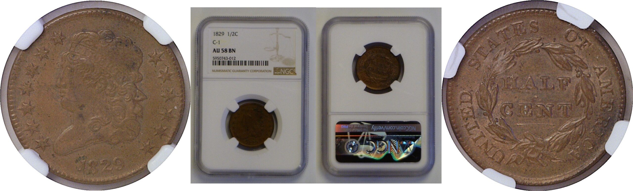 1829 Half Cent  -  NGC AU-58