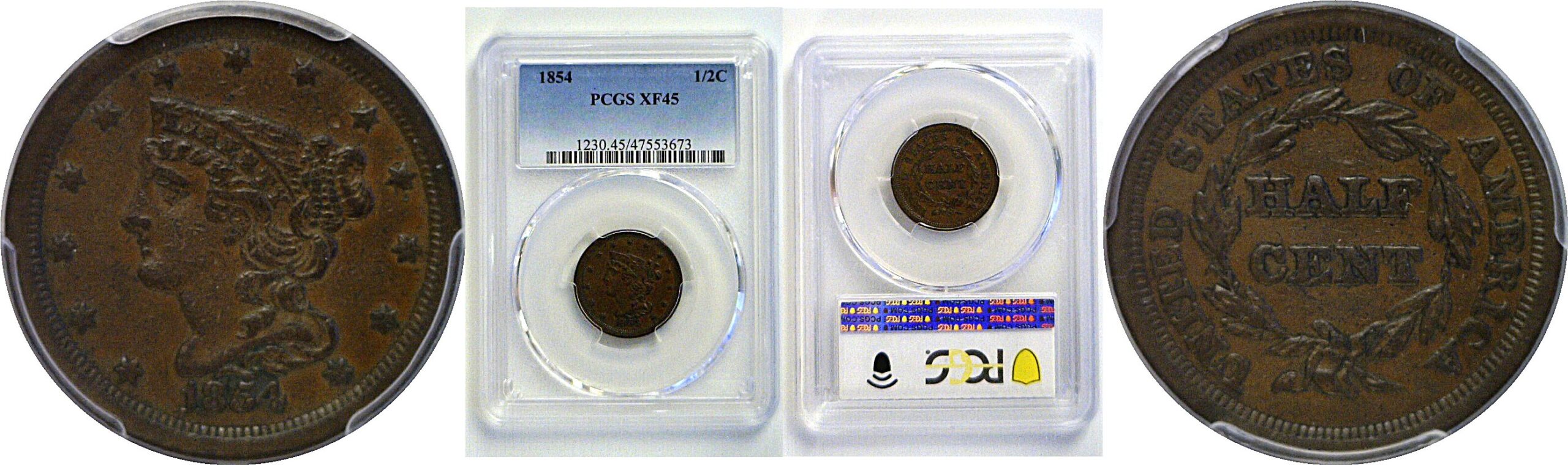 1854 Half Cent  -  PCGS XF-45