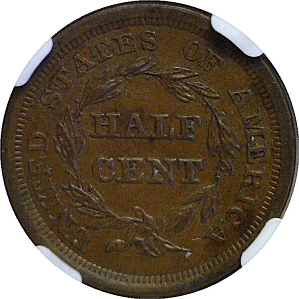 1857 Half Cent  -  NGC MS-62 BN - Image 3