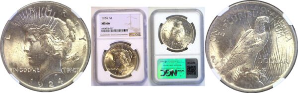 1924 Peace Dollar  -  NGC MS-66