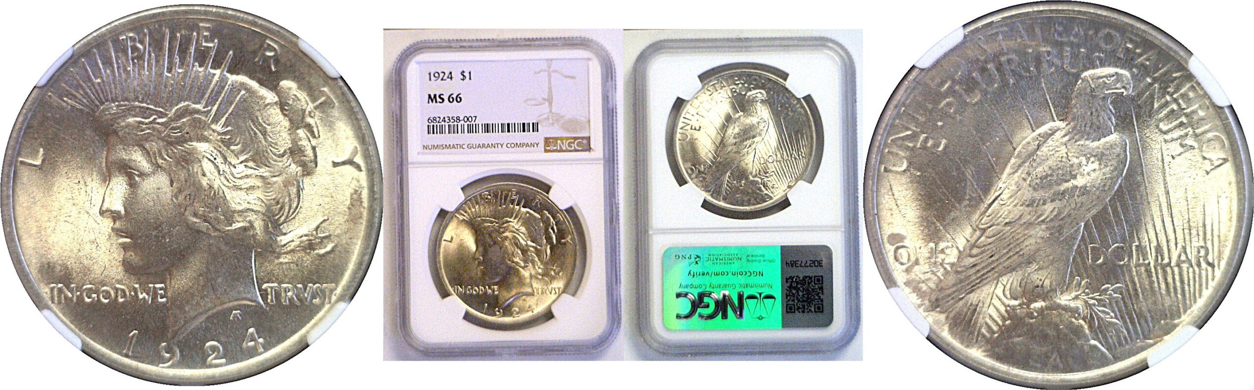 1924 Peace Dollar  -  NGC MS-66