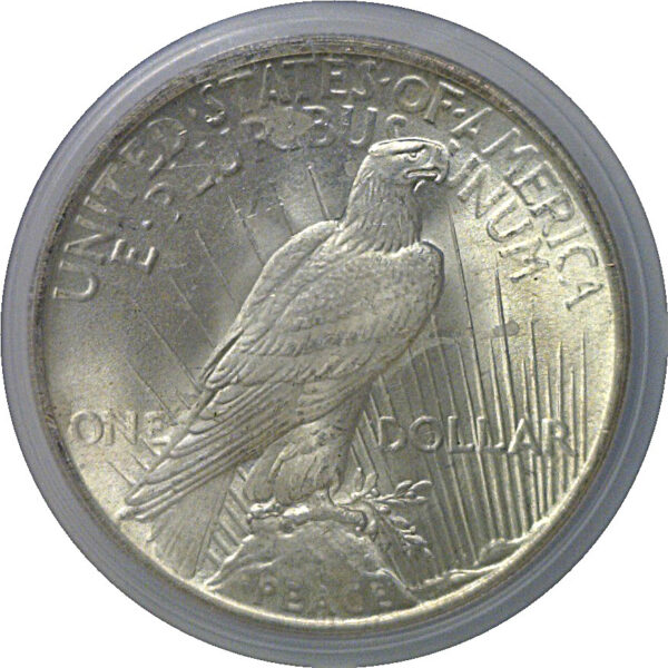 1922 Peace Dollar  PCGS MS-65 - Image 3