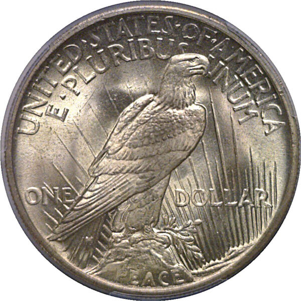 1921 Peace Dollar   PCGS MS-65 - Image 3