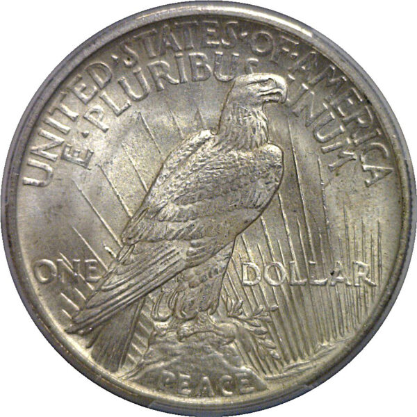 1921 Peace Dollar   PCGS MS-63 - Image 3